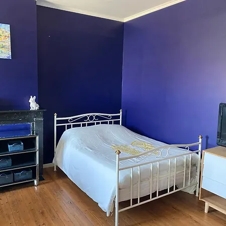 La Domus Lemaitre 5- Parking - Tv - Wifi Apartment Bavay