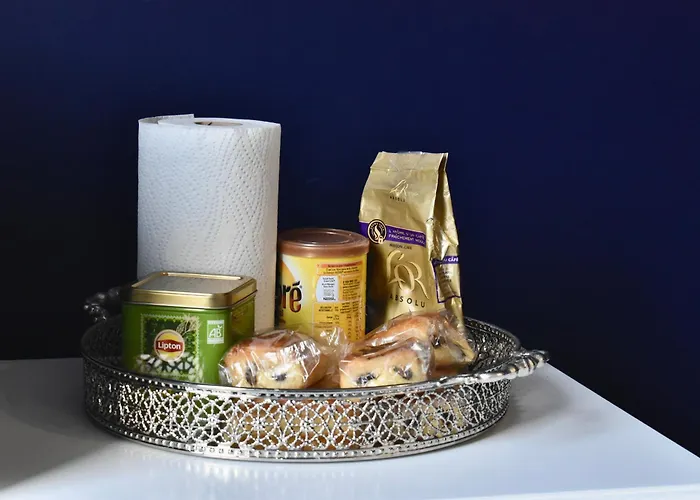 La Domus Lemaitre 5- Parking - Tv - Wifi *