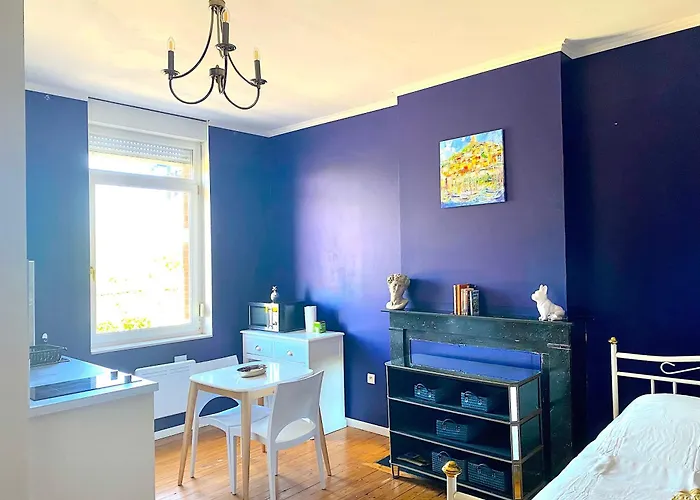 La Domus Lemaitre 5- Parking - Tv - Wifi Apartament