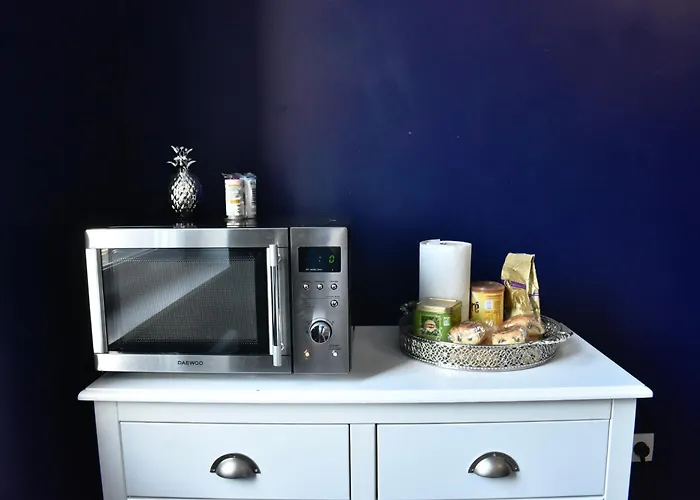 Apartament La Domus Lemaitre 5- Parking - Tv - Wifi *